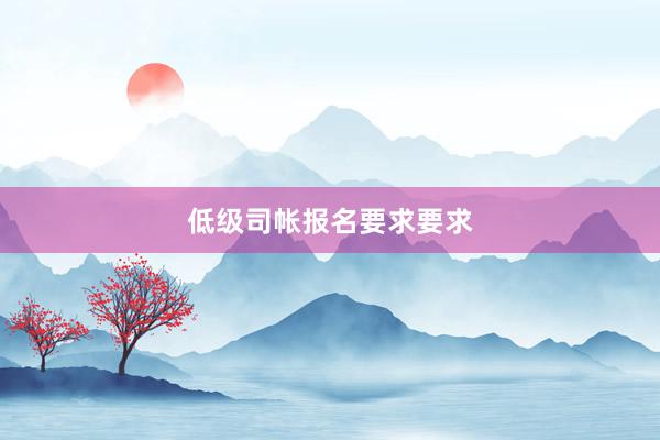 低级司帐报名要求要求